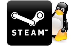 Valve takes interest in Linux